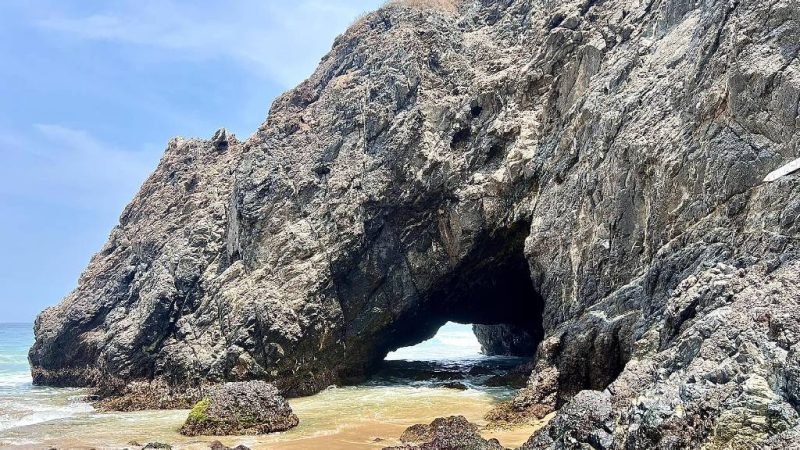 xjR9NnPX-Proyecto-nuevo-2024-05-14T182609.602